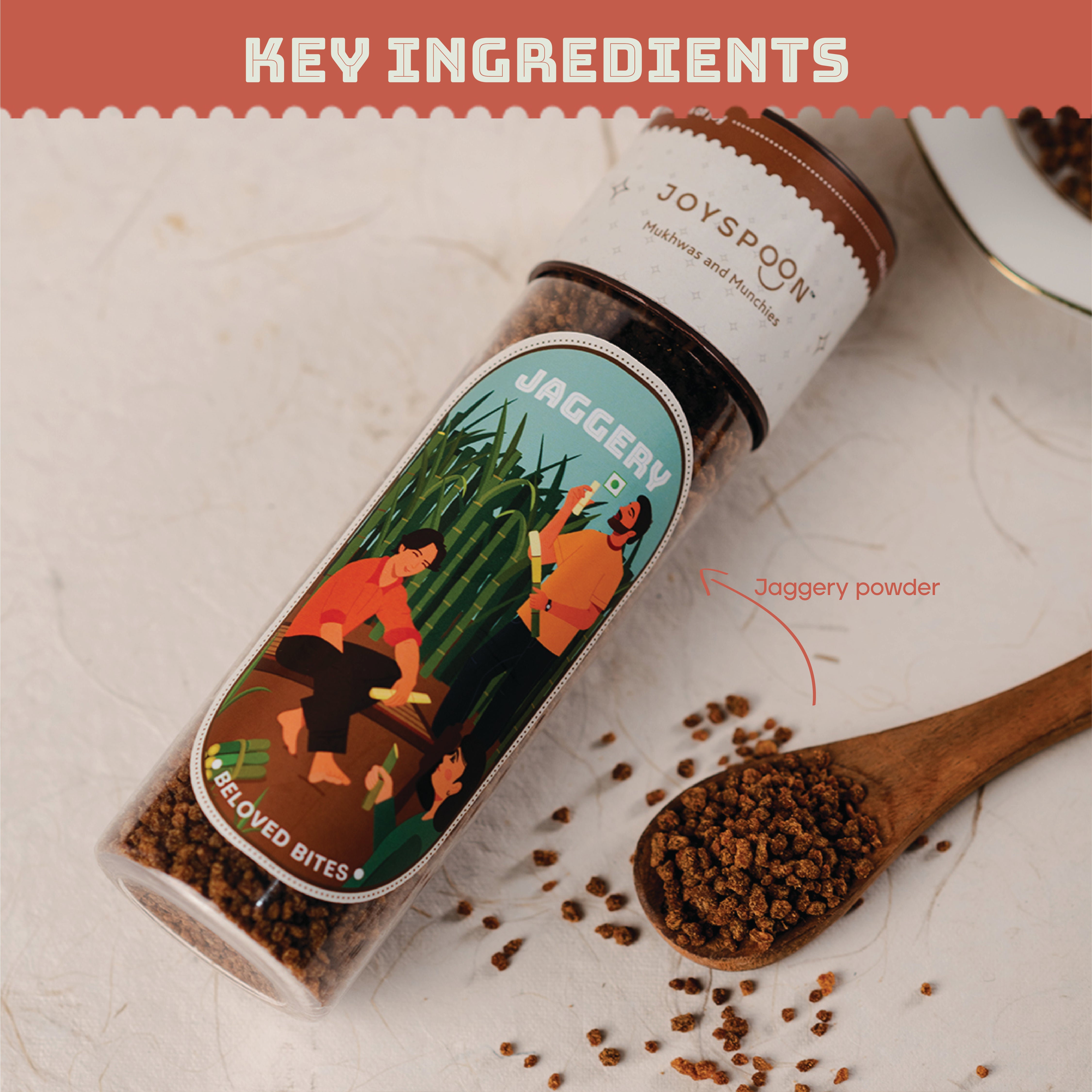 Jaggery Powder Joy Spoon